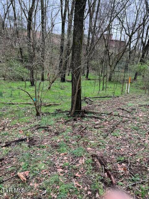 TBD Noellwood Dr, Greeneville, TN 37743 - photo 4