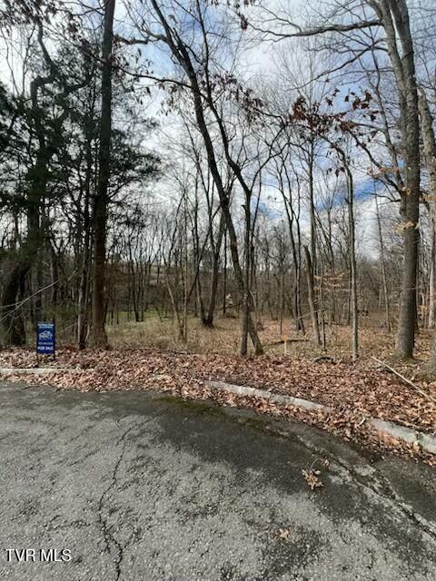TBD Noellwood Dr, Greeneville, TN 37743 - photo 6