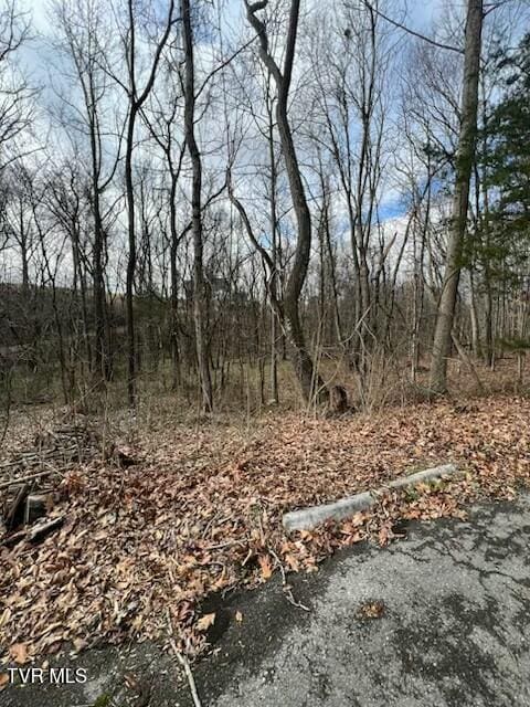 Listing photo 2 for TBD Noellwood Dr, Greeneville TN 37743