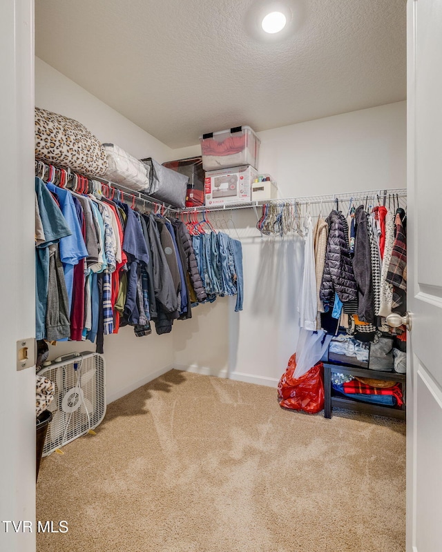 walk in closet with carpet