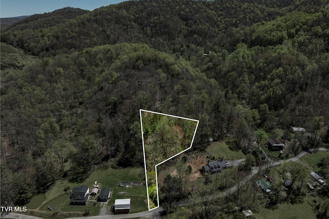 Listing photo 2 for TBD Hogum Hollow Rd, Roan Mountain TN 37687