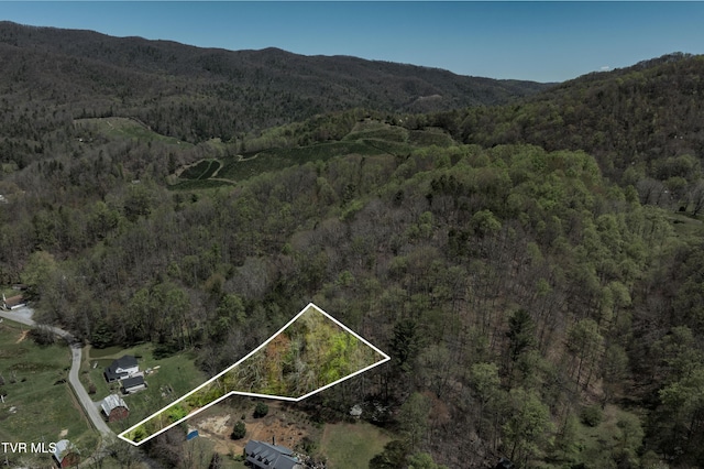 Listing photo 3 for TBD Hogum Hollow Rd, Roan Mountain TN 37687