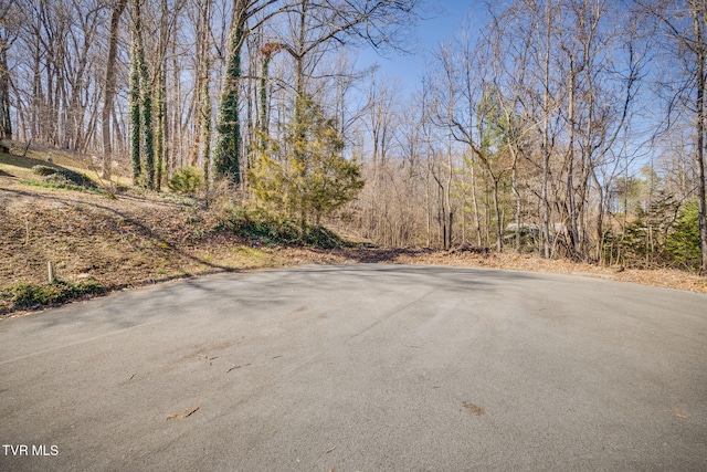 TBD Knobb Hill Rd, Johnson City TN, 37601 land for sale