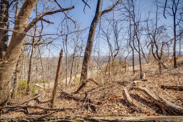 TBD Knobb Hill Rd, Johnson City, TN 37601