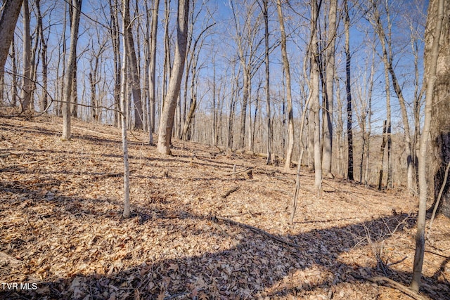 Listing photo 3 for TBD Knobb Hill Rd, Johnson City TN 37601