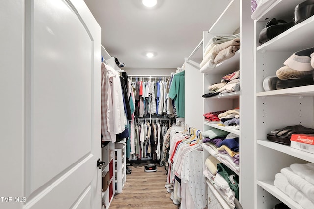 walk in closet featuring light wood-style floors