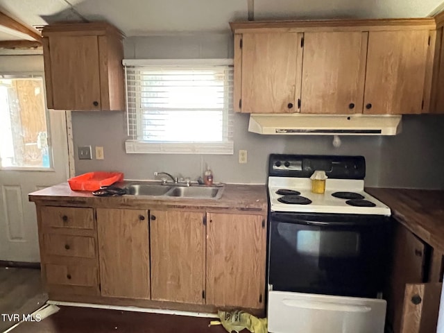 kitchen with range with electric cooktop, brown cabinets, a sink, and extractor fan