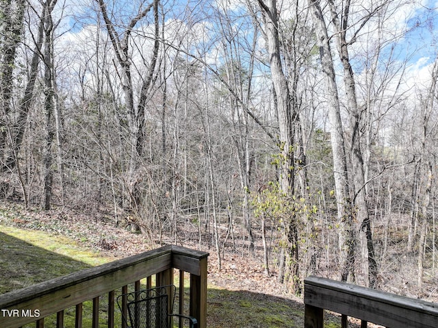 view of yard with a wooded view