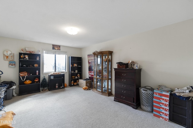 miscellaneous room featuring carpet floors