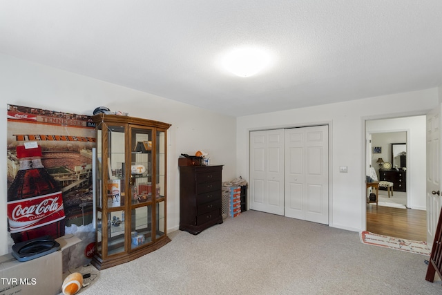 interior space with carpet and a closet