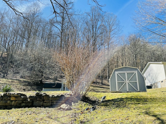 view of yard with a storage shed and an outbuilding