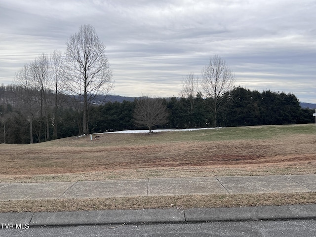 235 Old Island Trl, Kingsport TN, 37664 land for sale