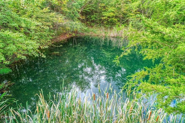 view of nature with a water view