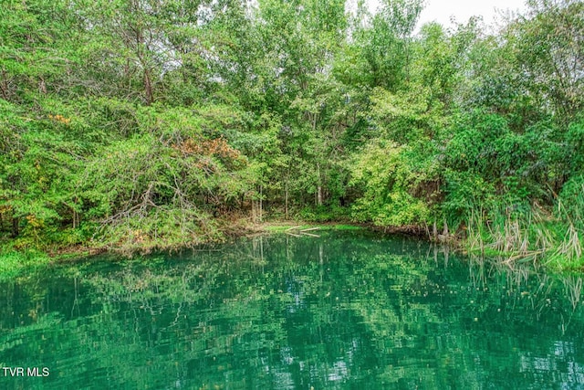 view of local wilderness with a water view