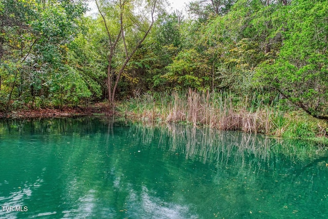 water view with a forest view