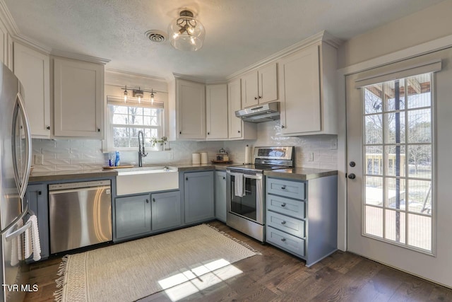 kitchen featuring stainless steel appliances, dark countertops, dark wood-type flooring, a sink, and under cabinet range hood