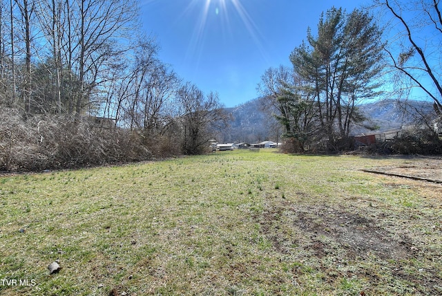 view of yard with a mountain view