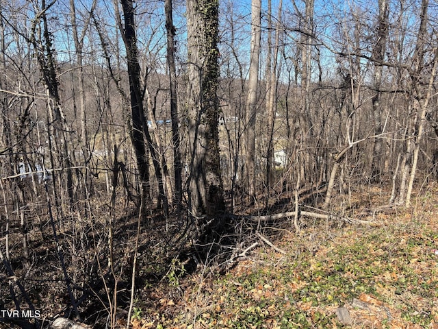 000 Brooks St, Greeneville, TN 37743