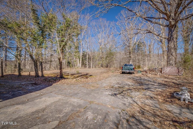 view of yard with concrete driveway