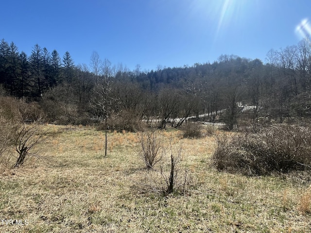 168 Osborne Ridge Rd, Dungannon VA, 24245 land for sale