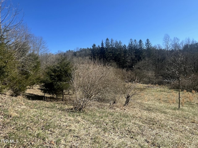 Listing photo 2 for 168 Osborne Ridge Rd, Dungannon VA 24245