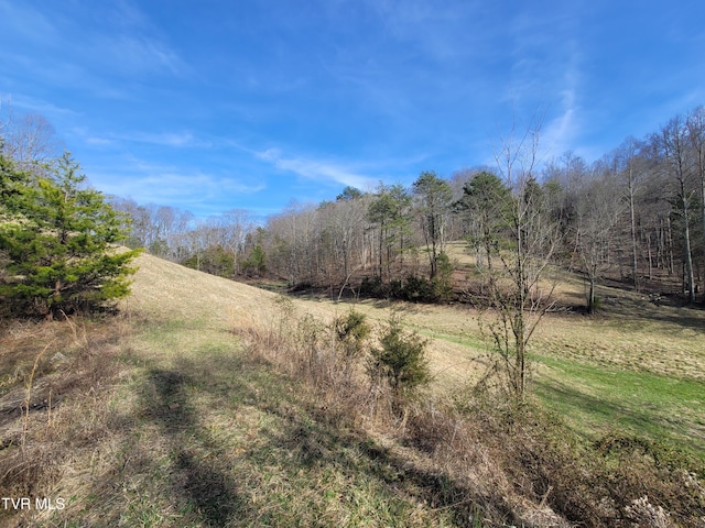 view of nature featuring a forest view