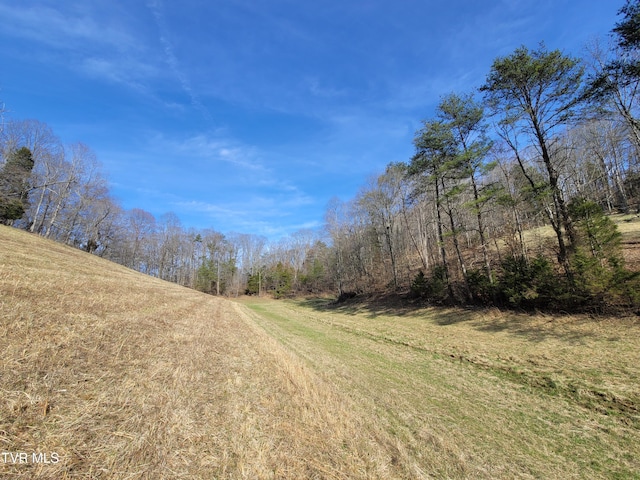 view of road with a wooded view