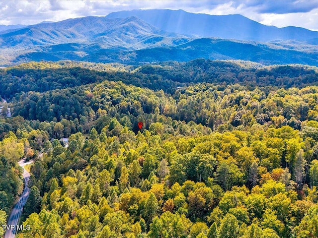 property view of mountains with a view of trees