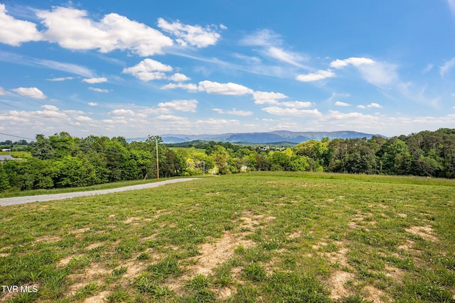 2150 Sunnyside Rd, Greeneville, TN 37743 - view of mountain background featuring a forest