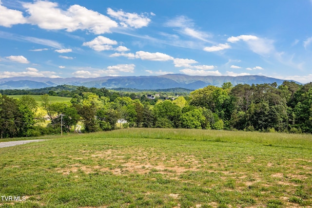 2150 Sunnyside Rd, Greeneville, TN 37743 - view of mountain backdrop