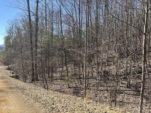 Listing photo 3 for LOT54 Hiddenwood Dr, Mountain City TN 37683