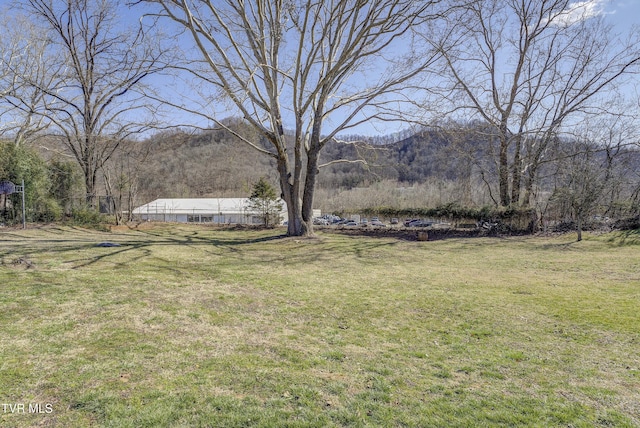 view of yard featuring a mountain view