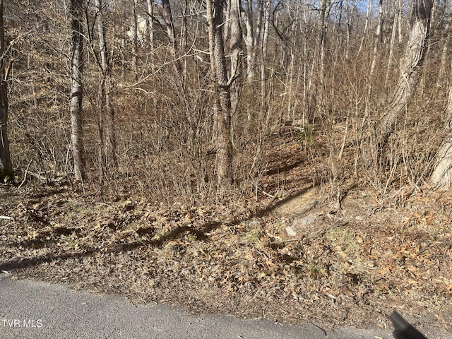 LOT20 Kallen Dr, Kingsport TN, 37660 land for sale