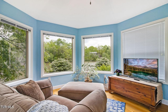 sitting room featuring baseboards and wood finished floors