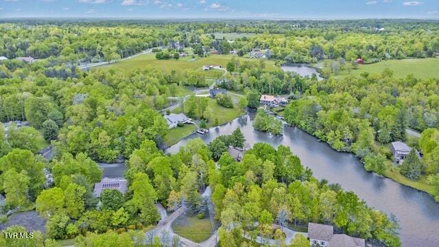 bird's eye view featuring a water view and a view of trees