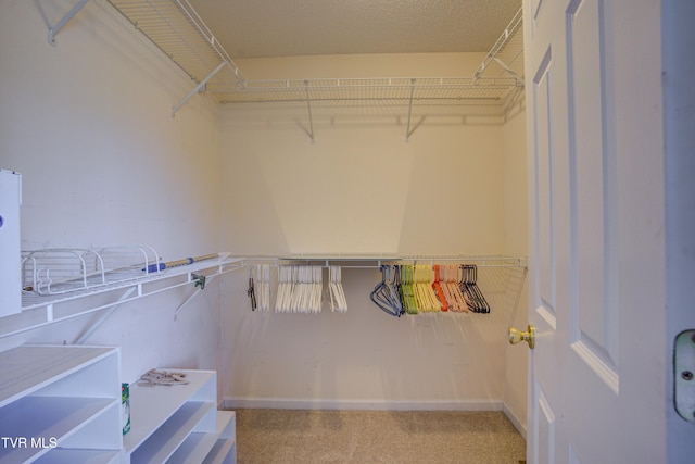 spacious closet with carpet flooring