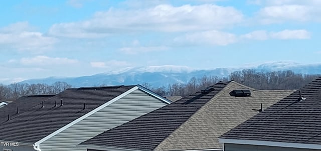 exterior details with a shingled roof and a mountain view