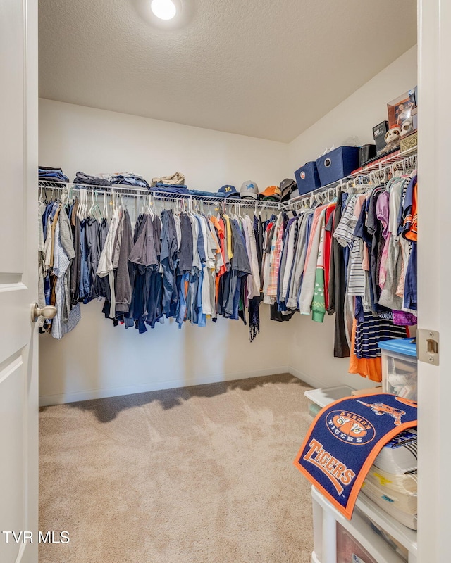 spacious closet featuring carpet