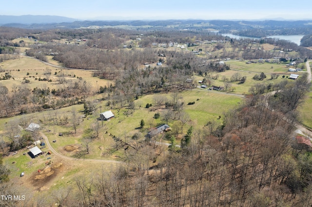 drone / aerial view with a rural view and a mountain view