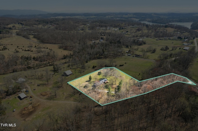 drone / aerial view with a rural view