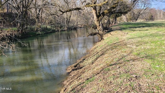 property view of water with a view of trees