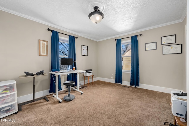 office space with ornamental molding, carpet, plenty of natural light, and baseboards