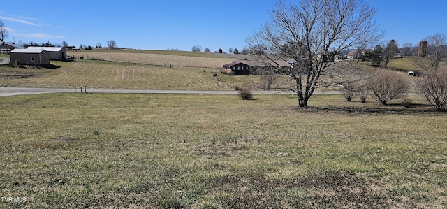 view of yard featuring a rural view