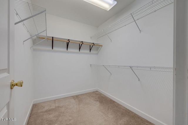 spacious closet with light colored carpet