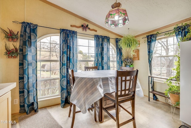 dining space featuring lofted ceiling, ornamental molding, and a textured ceiling