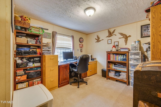 office space featuring light carpet and a textured ceiling