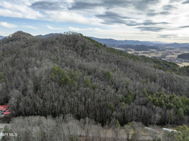 mountain view with a wooded view