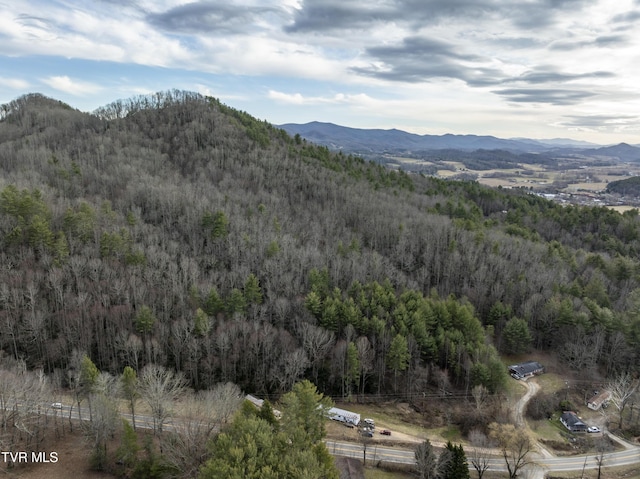 mountain view with a forest view