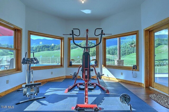 251 Fee Trl, Ewing, VA 24248 - exercise room with wood finished floors and baseboards