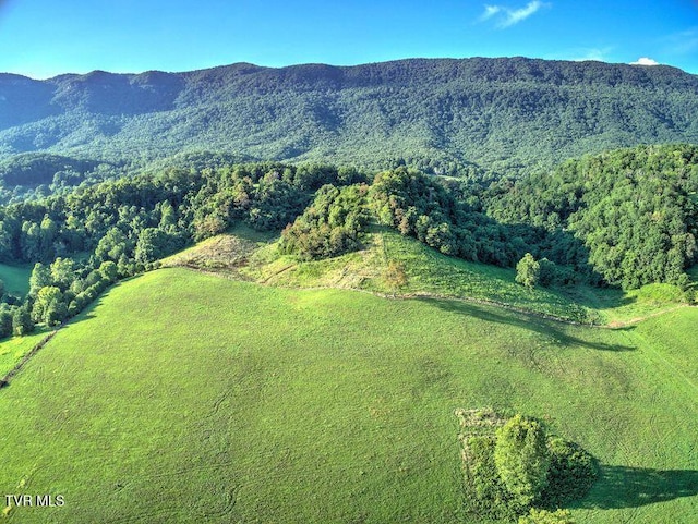 251 Fee Trl, Ewing, VA 24248 - property view of mountains with a view of trees